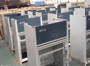 通風柜廠家直供
